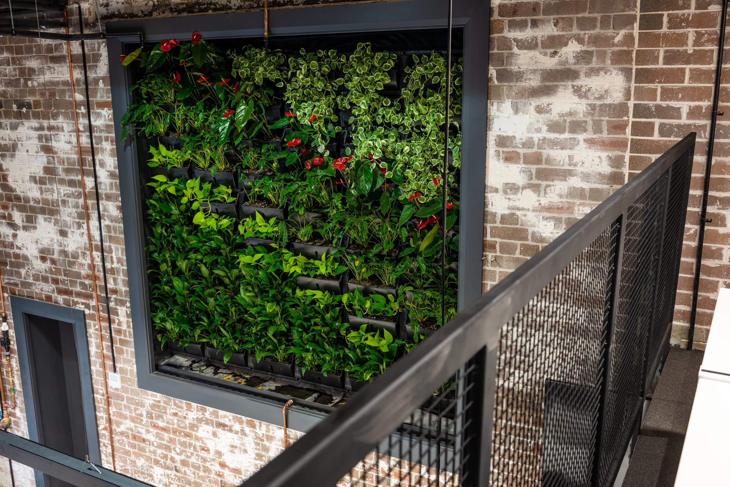 Johnston’s Buildings gallery 27