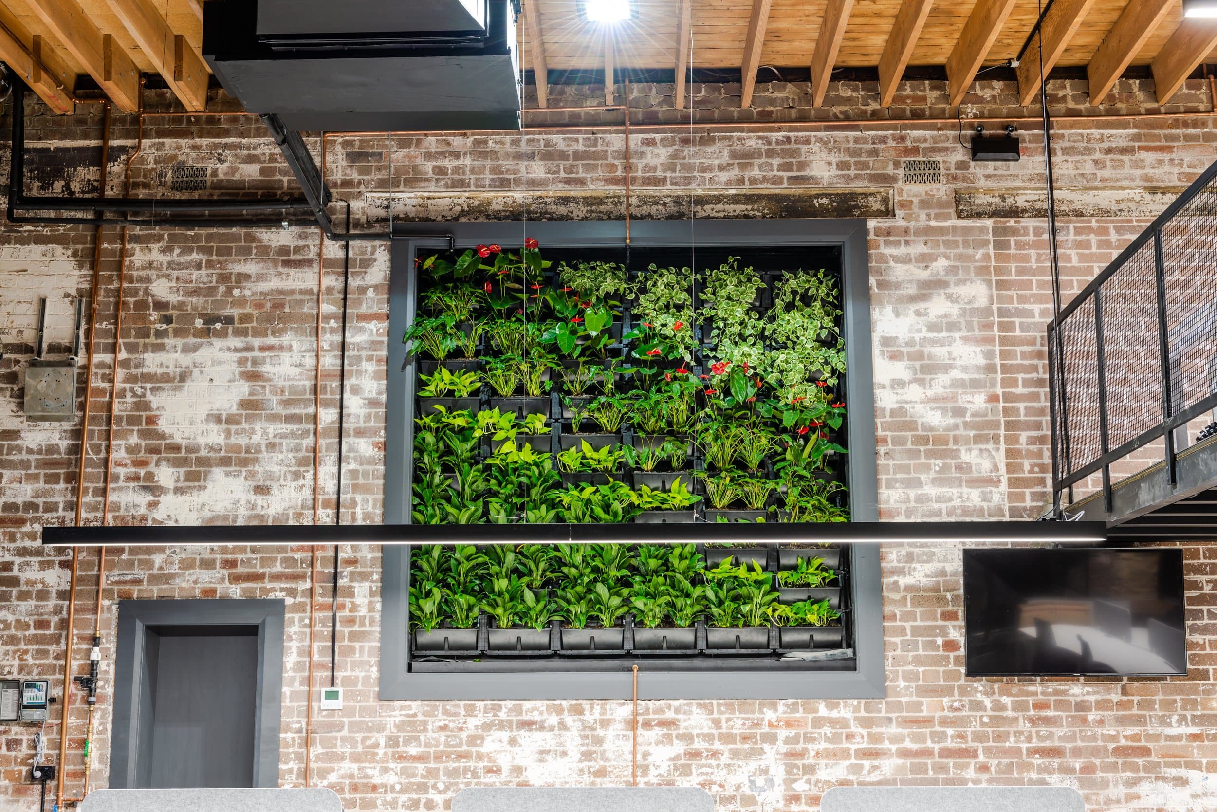 Johnston’s Buildings gallery 45