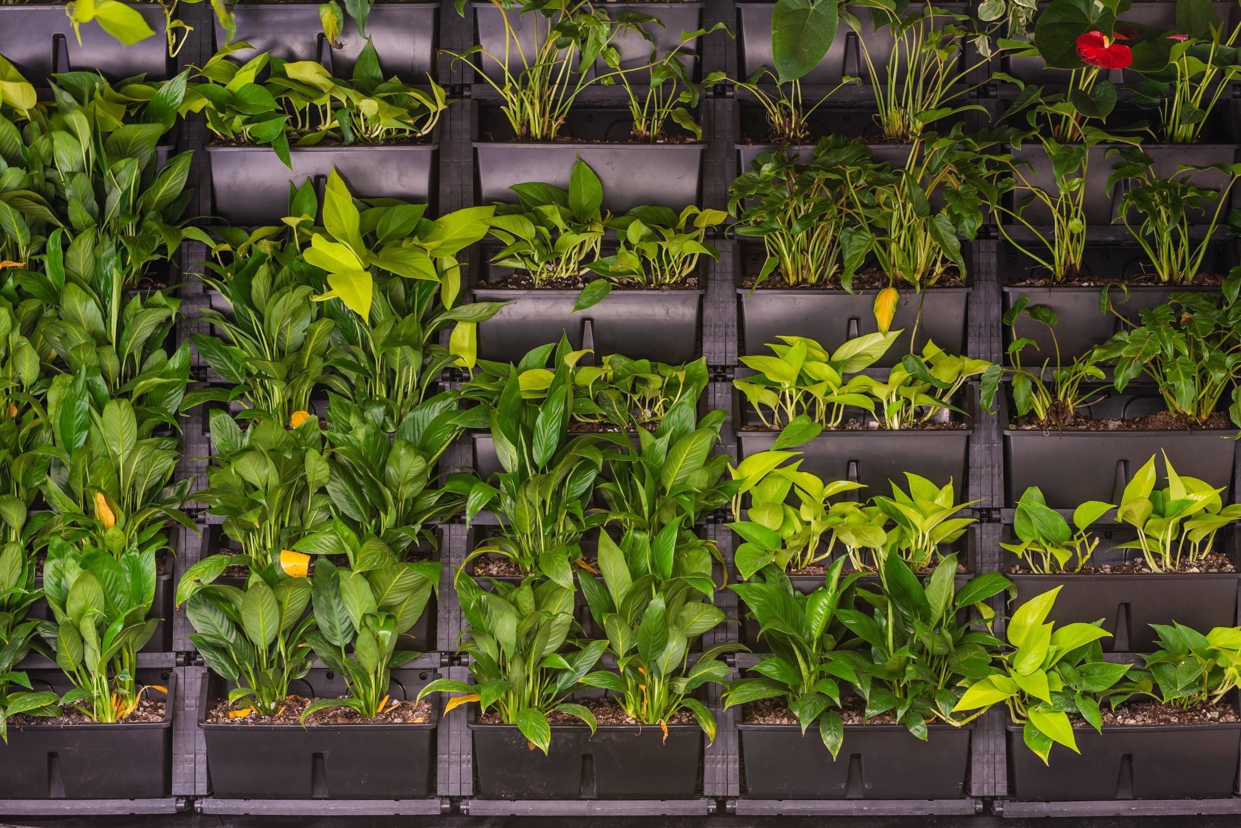 Johnston’s Buildings gallery 16